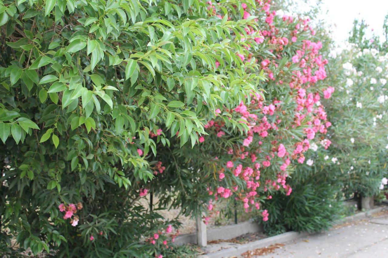 Le Anfore Di Arpi فوجيا المظهر الخارجي الصورة